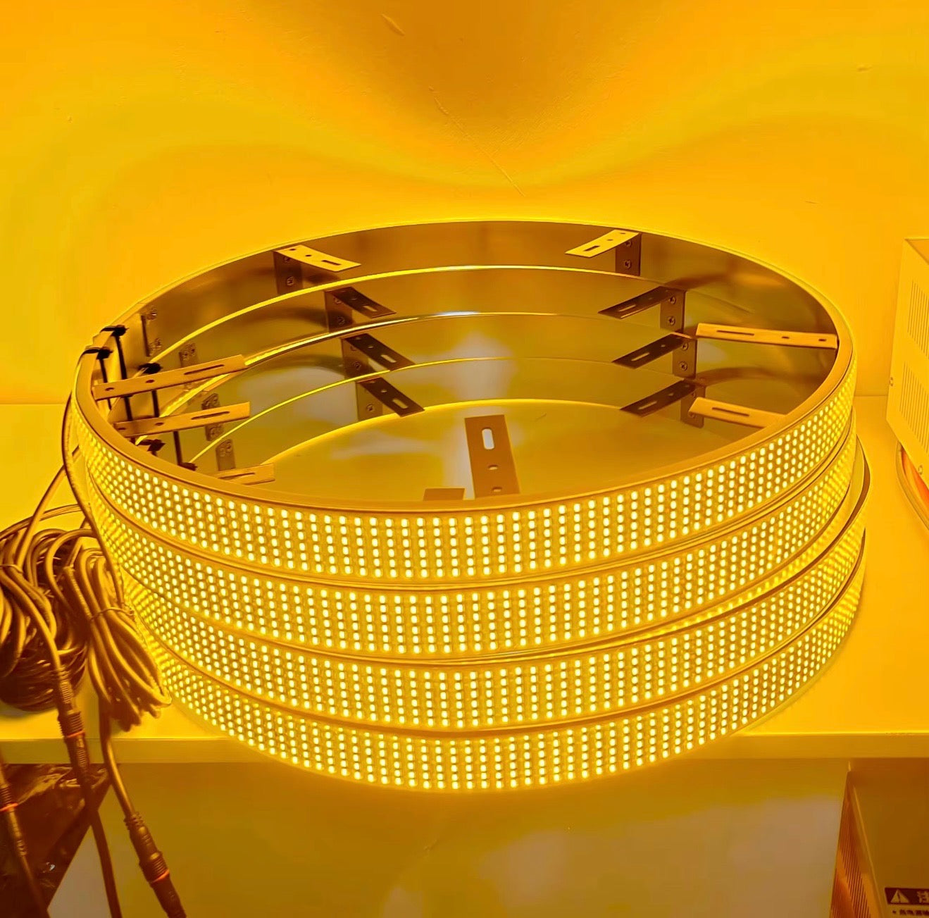 SWITCHBACK WHEEL LIGHTS
