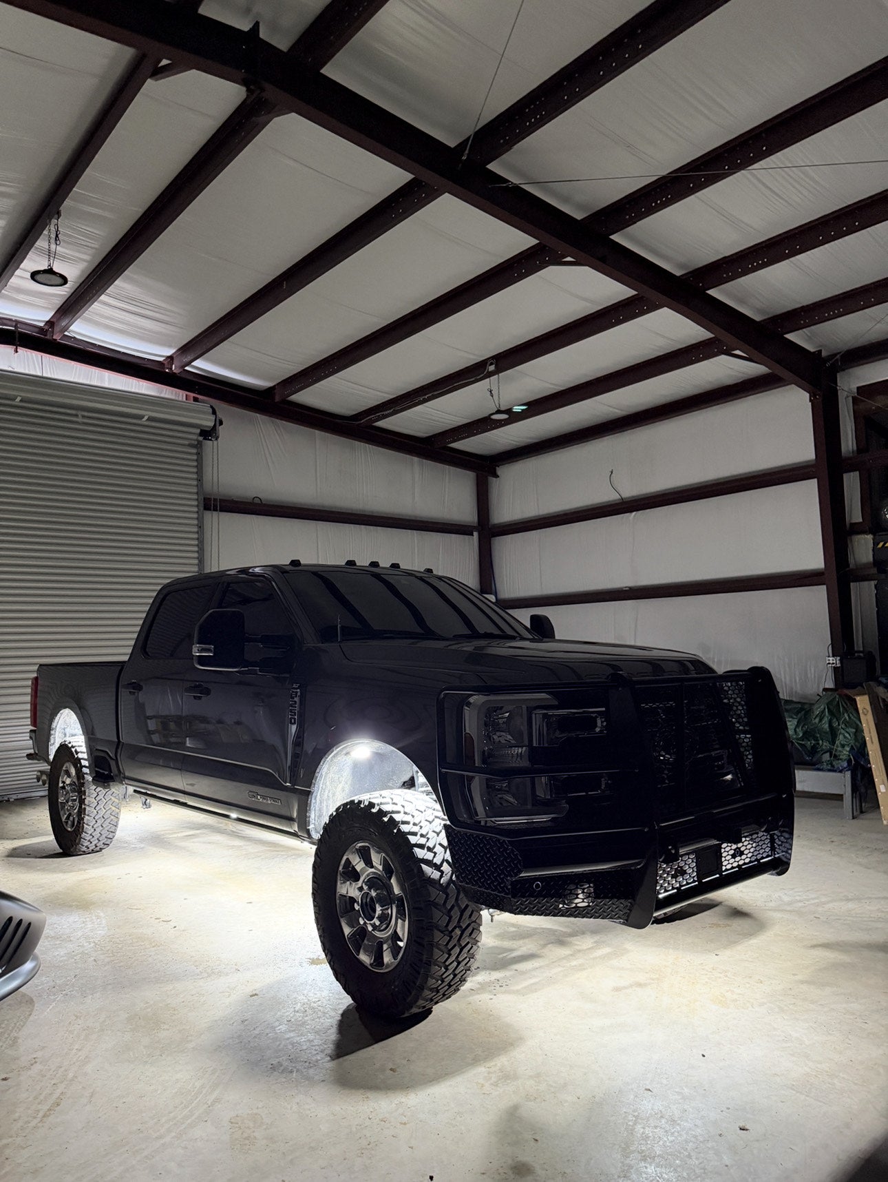 219 CHIP ULTRA BRIGHT ROCK LIGHTS